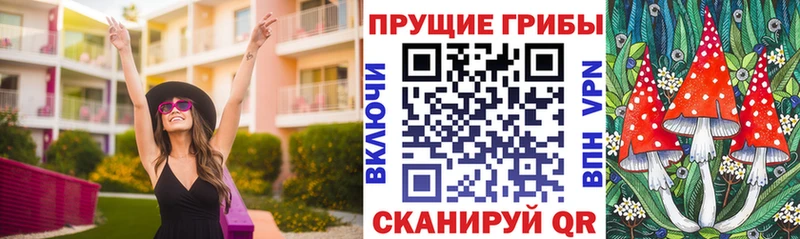 Псилоцибиновые грибы Psilocybe  Ветлуга 