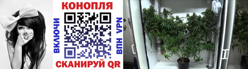 Бошки марихуана индика  Ветлуга 